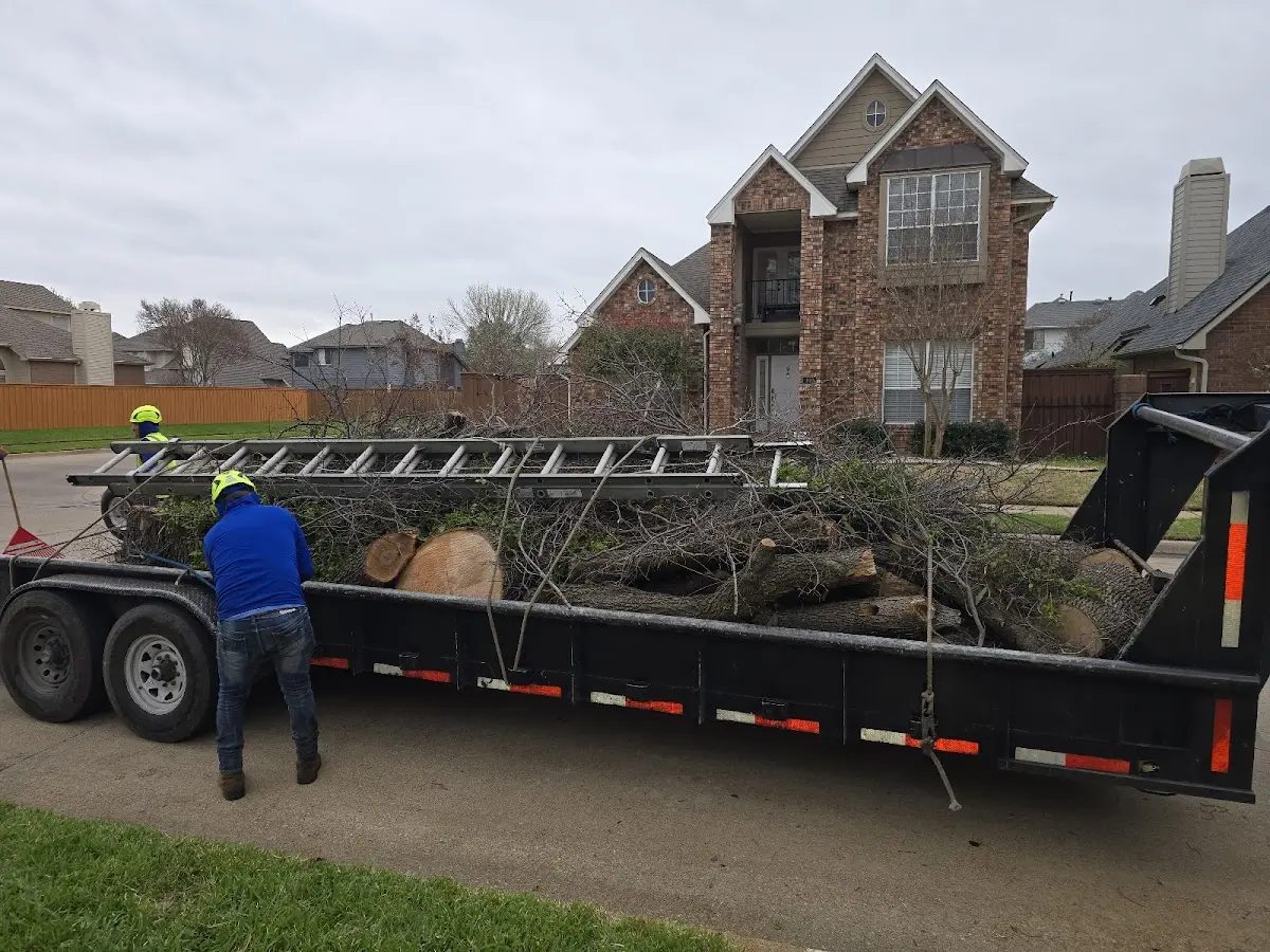 Expert Tree Fertilization with proper safety equipment in Myers Flat